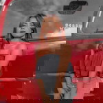 Gelai Sinag profile icon