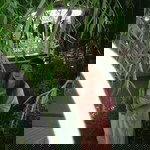 Wassana Phetchainon profile icon