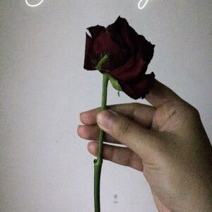 elyn nazir profile icon