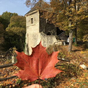 Dinie Syafira profile icon