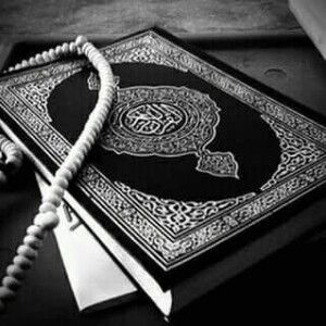 Rafinda Setyaningrum profile icon