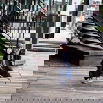 Khayyirah Paijo profile icon