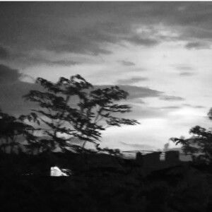 shayne freo profile icon