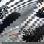 LoOkpla Parichart profile icon