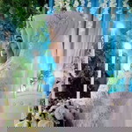 Inke Veronika profile icon