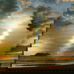 Zaid MA Basran profile icon