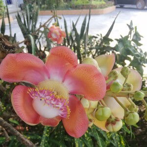 น้องแทน ศรีจันทร์ profile icon