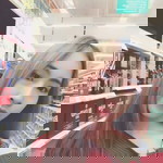 สุภาพร พันธ์วงษ์ profile icon