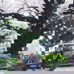 Kas Changkartrud profile icon