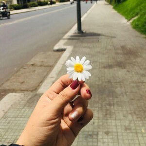 Thanh Hieu Nguyen Ngoc profile icon