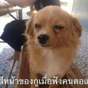 ต้องแคร์ไหม หมูน้อย profile icon