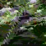 Rini Maelani profile icon