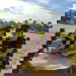 Chanjie Obm profile icon