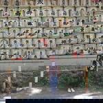 Arlyne Arago profile icon