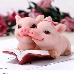 Tùng Tâm profile icon