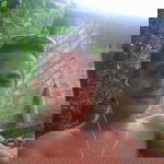 Into Mandala profile icon