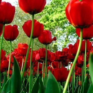 Septiriani Bt Martin Septbysept profile icon