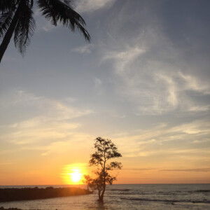 Ellen novia profile icon