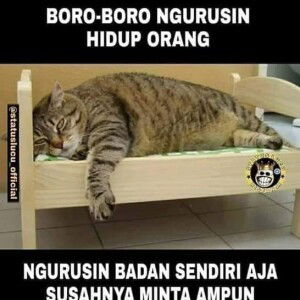 Fatma Wati profile icon