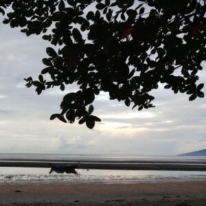 morii clothing profile icon