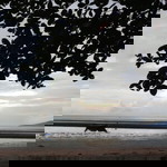 morii clothing profile icon