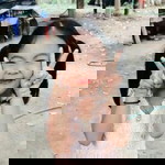 Nee aon na ja profile icon