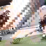 Fern Phukan Nady profile icon