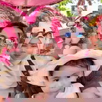 Maknae Festo profile icon