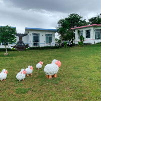 Mongkonkit Himsopha profile icon