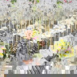 Dinariyand profile icon