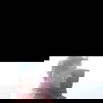 Vinanti profile icon