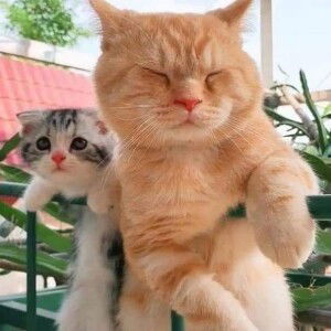 Wati Same profile icon