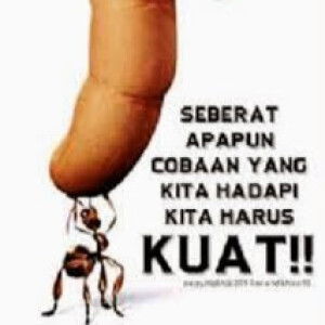 arina rahmah profile icon