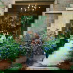 Tom Tam Somruthai profile icon