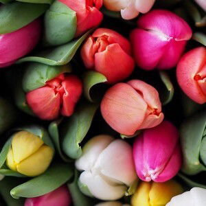 Sha Shakilla profile icon