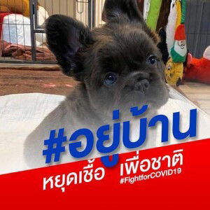 เนตรน ก. profile icon