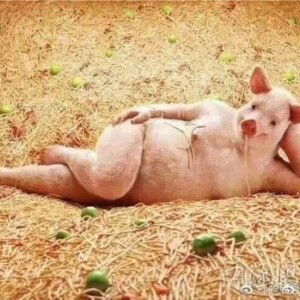 อิมอิม กานต์พิชชา profile icon