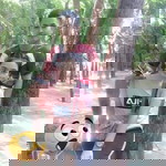 อนุสรณ์ เจษฎาภรณ์ profile icon