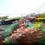 Pert Gammon profile icon