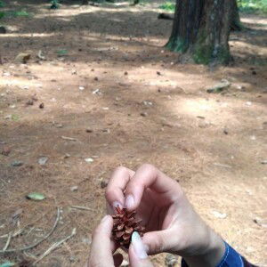 Diki Febri Adevio profile icon