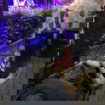 Kanitsorn Ketliadyai profile icon