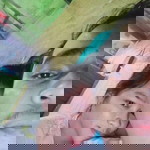 Jul Madrid profile icon