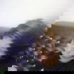Gihanna Gisham profile icon