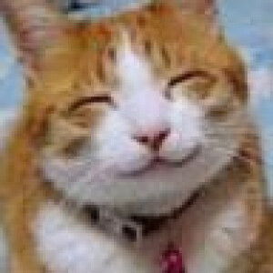 Nur Farah Hanim profile icon