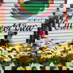 Nur Ieda profile icon