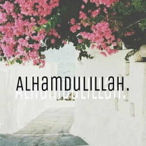 hanna Suhaidi profile icon