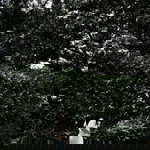 Siriwan Siripui profile icon