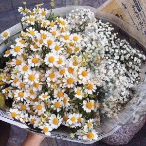 กัลยา โคกแหล่ profile icon