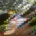 Dea Hapsa profile icon