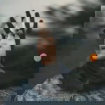 Yunita Noviyanti profile icon